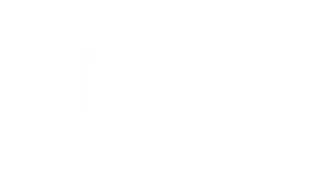 kitten