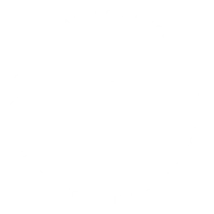 shesaidso_Global+Logo-01